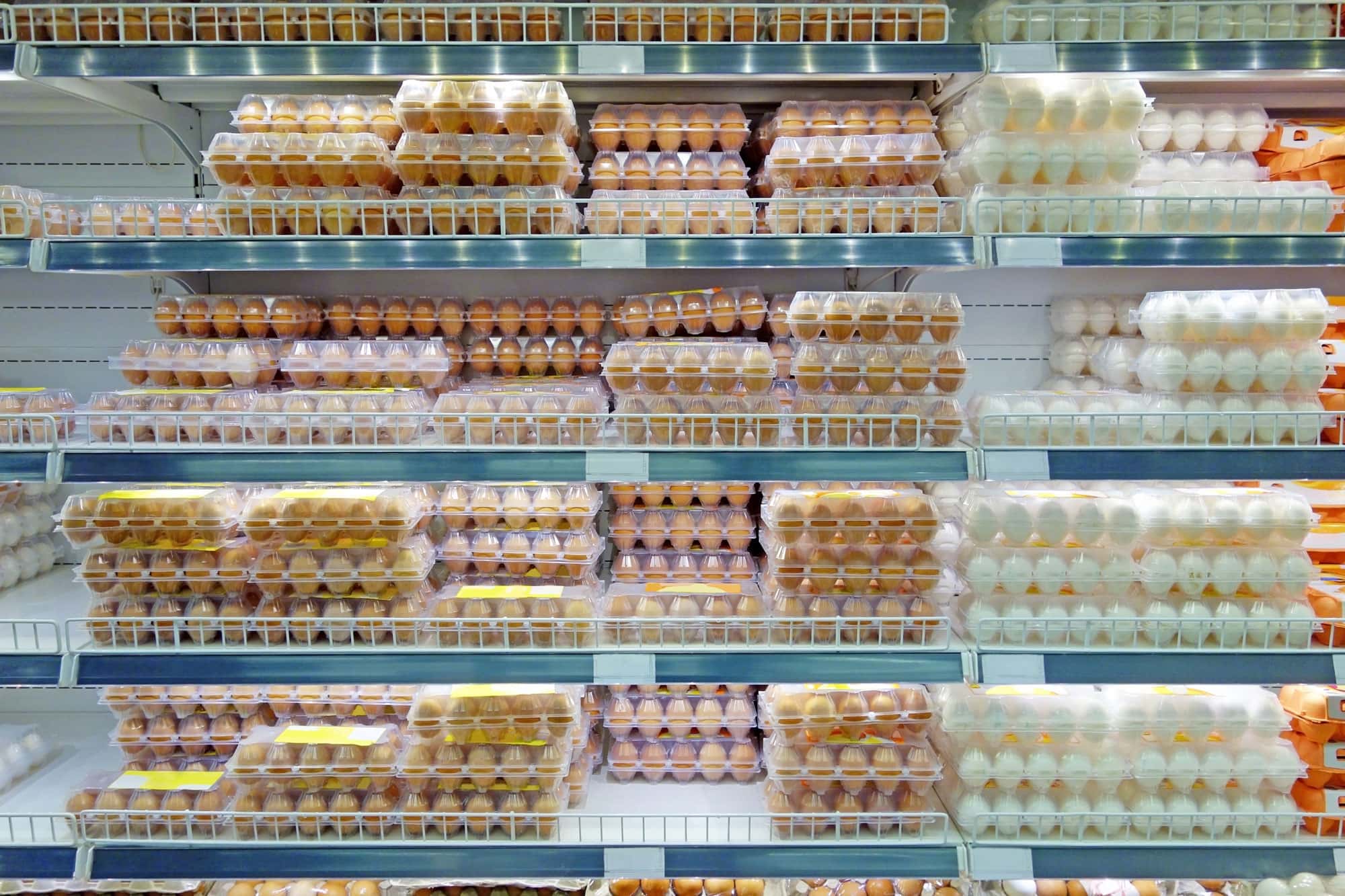 lots of eggs in plastic cartons in a refrigerated display in a grocery store