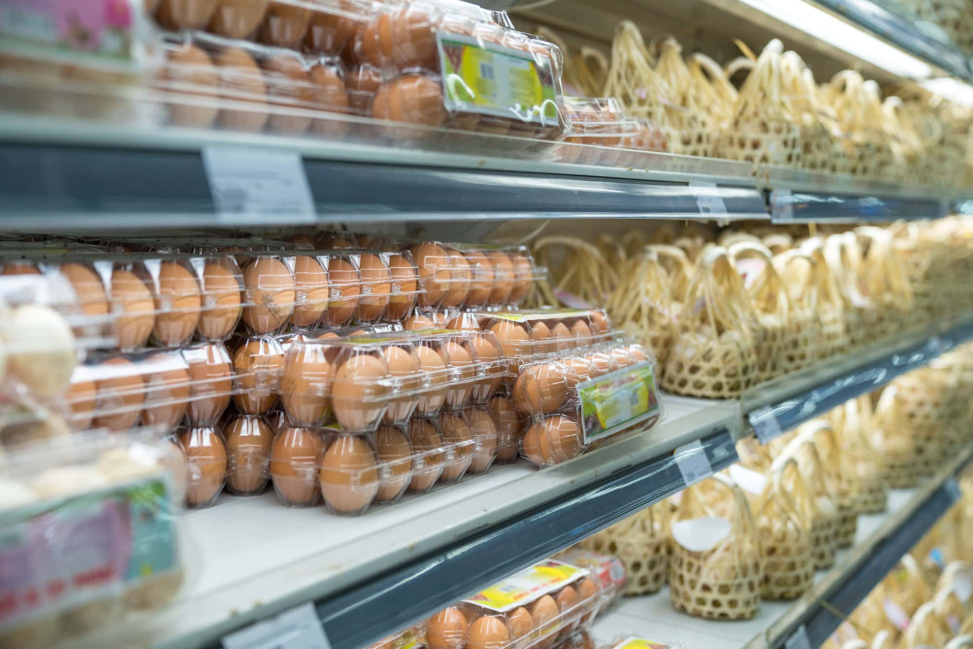 eggs in plastic cartons in refrigerated shelves in grocery store