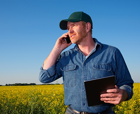 A farmer in a field of flowering plants on a mobile phone and holding a tablet.