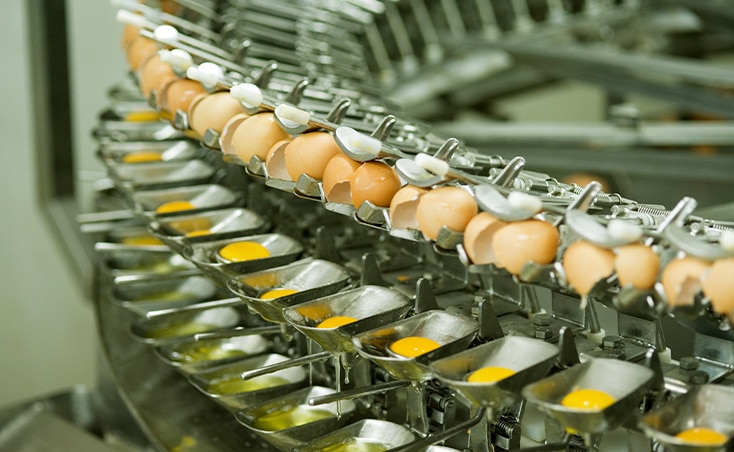 An industrial egg cracking and separating machine with three rows, the top row has the egg shell, the second row has little dishes with the yolk and the third row has little dishes with the egg white.
