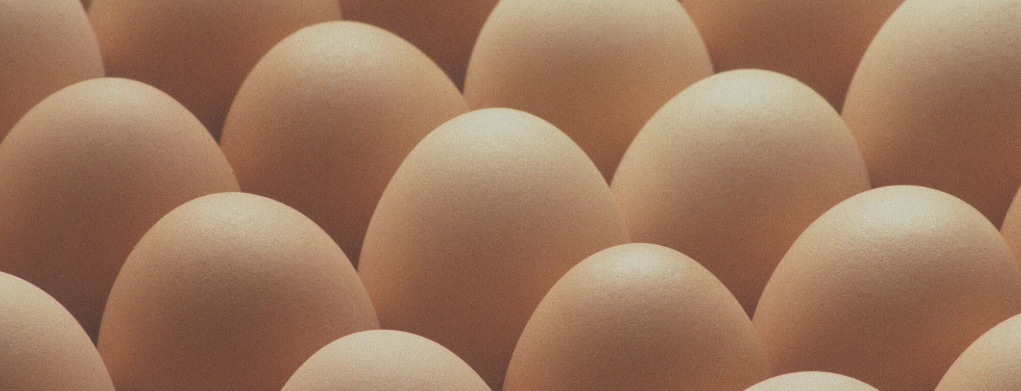 Brown cage-free eggs from Eggs Unlimited stacked neatly next to each other, serving as the hero image for the main page of the company's website.