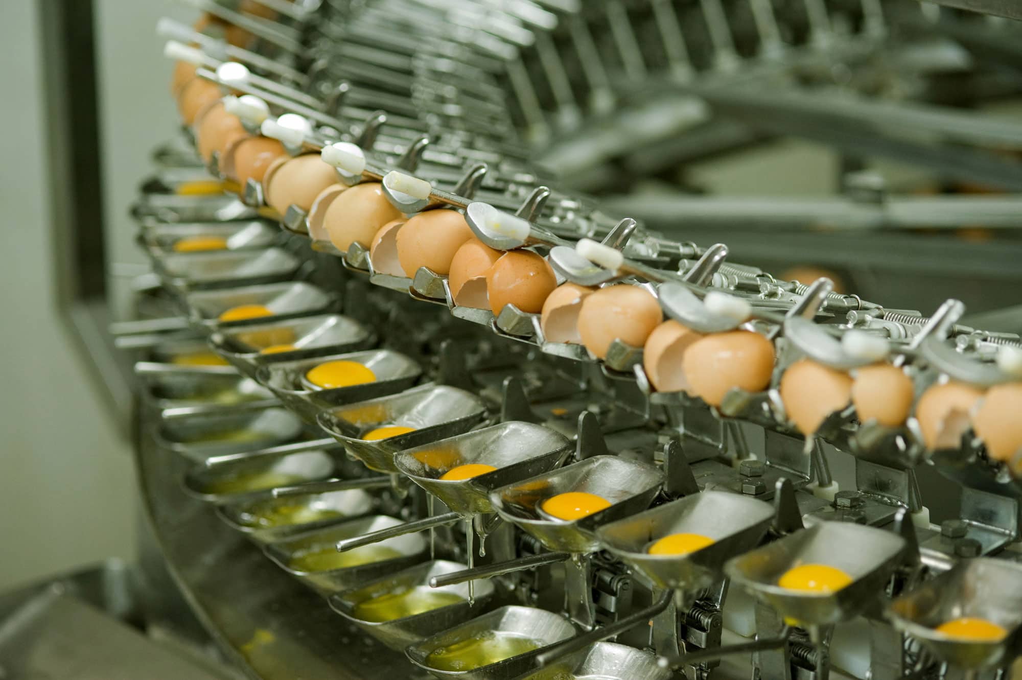 Close-up of an Eggs Unlimited factory's egg cracking machine in action, expertly separating egg yolks from whites, a process essential for producing and selling high-quality liquid egg products.