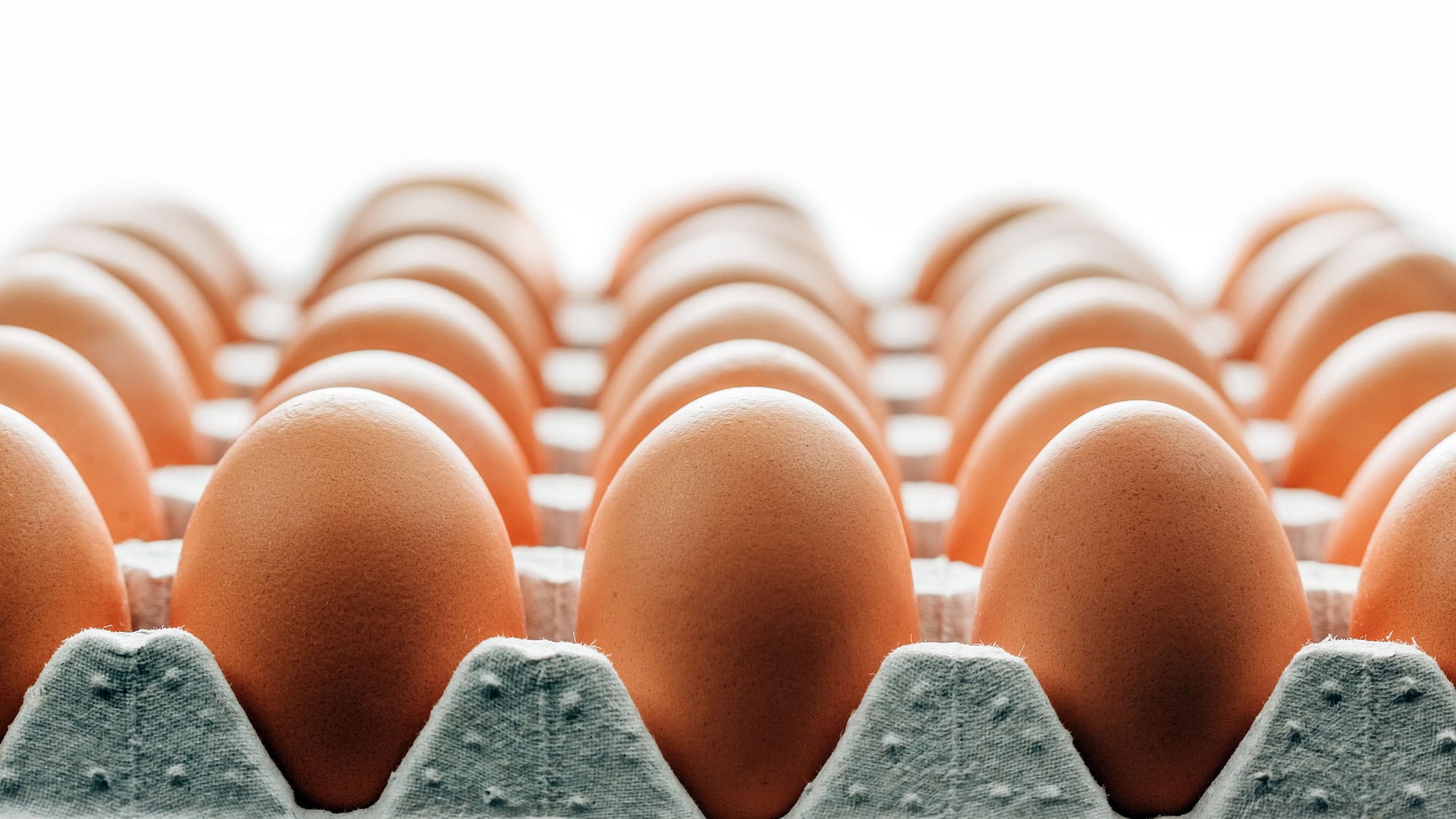 Macro close-up image of cage-free brown eggs against a white background, highlighting Eggs Unlimited commitment to providing high-quality, ethically-sourced wholesale eggs