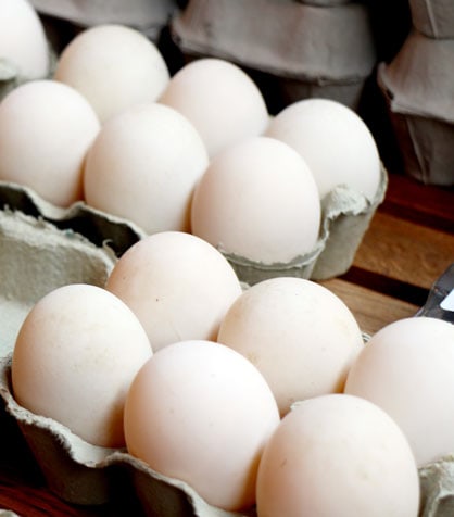 White duck eggs in cardboard containers