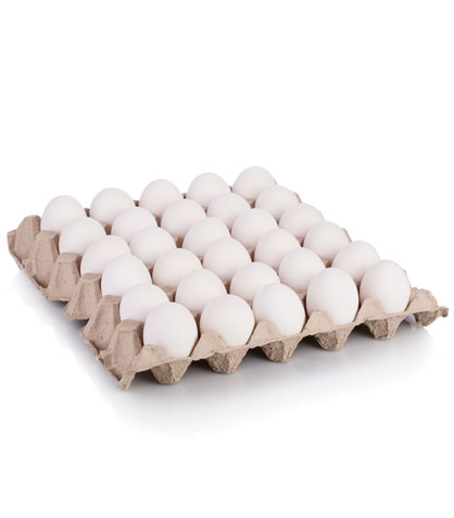 White eggs in flat carton on white background.