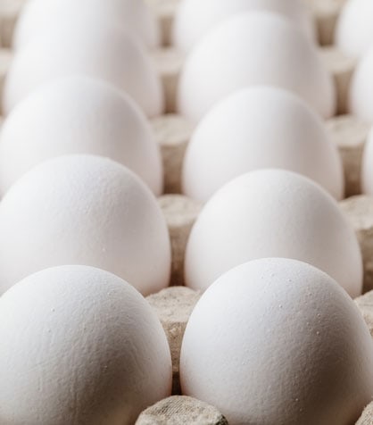 White eggs in vertical container