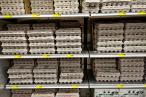 Image depicts conventional white eggs in a grocery store, highlighted in a San Francisco article discussing new pricing strategies, showcasing Eggs Unlimited involvement in adjusting to market changes.