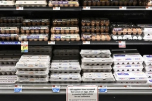 Aisle view featuring a variety of expensive eggs including brown, conventional, cage-free, and organic options, highlighted in an article by Eggs Unlimited on 'Wholesale egg prices have ‘collapsed.’ Why consumers may soon see relief,' showcasing the diverse range Eggs Unlimited offers and the potential for price adjustments benefiting consumers.
