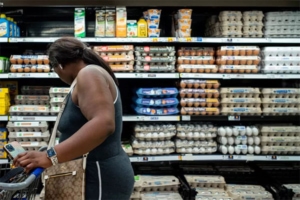 This photo showcases a selection of brown eggs in grocery store with a person looking, accompanying an article on Eggs Unlimited's news page discussing the factors contributing to the current high cost of eggs.