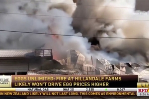 News release by Eggs Unlimited showcases an image of a fire, headlined 'Hillandale Farms: Recent egg fire will probably not impact prices, according to Eggs Unlimited
