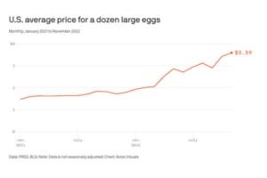 This image displays a graph charting the average price for a dozen large eggs from 2021 to 2023, in an article where Eggs Unlimited is mentioned for their efforts to educate their clients on market trends and pricing dynamics.