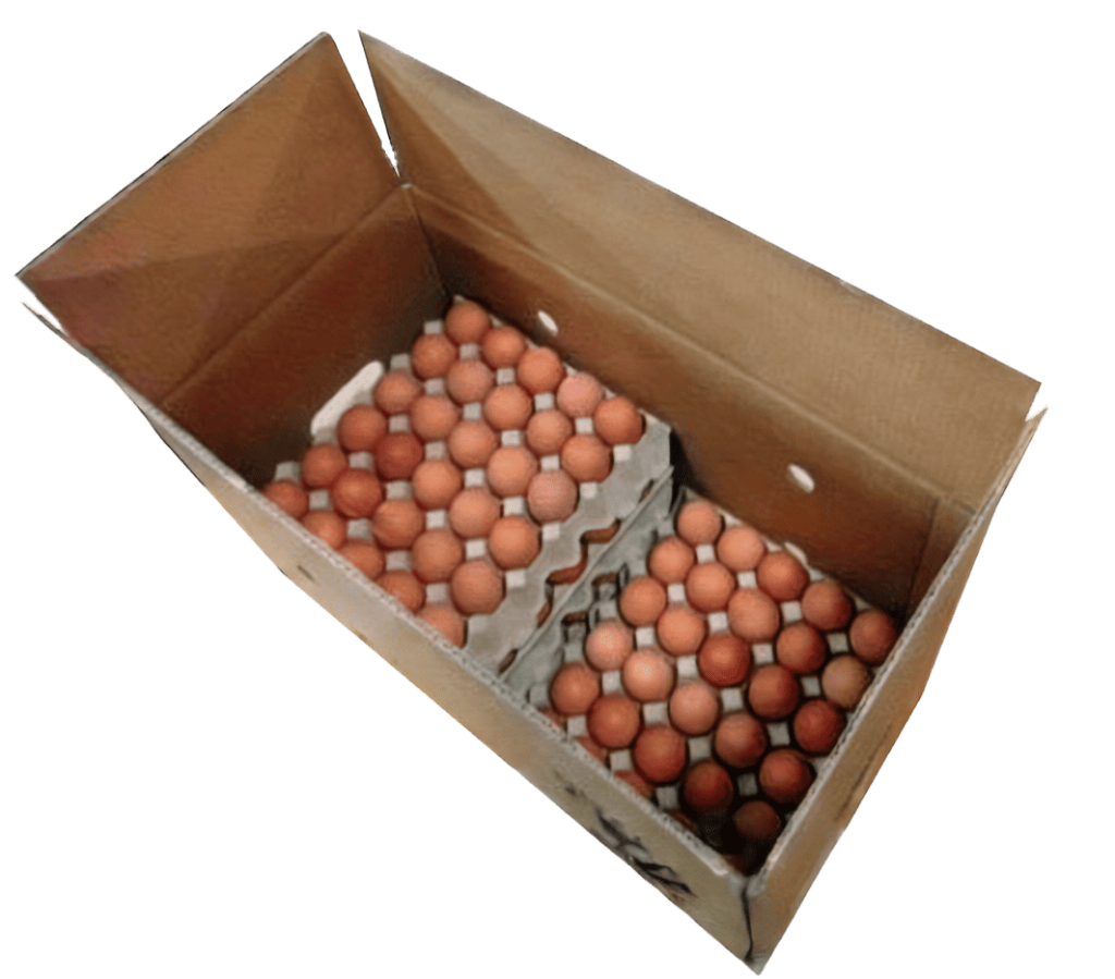Open box of 5 dozen Eggs Unlimited, showcasing neatly packed, high-quality eggs in secure compartments to ensure freshness and safety during delivery. Ideal for bulk purchases by businesses and households looking for organic, cage-free, and conventional options, from eggs unlimited egg wholesaler and cage free eggs 