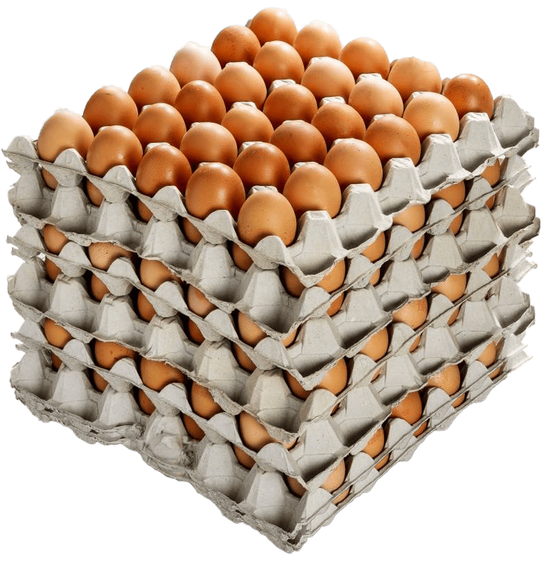 Close-up view of a 5 dozen bundle of brown Eggs Unlimited, highlighting the quantity and quality of sustainably sourced, brown eggs for customers valuing ethical and environmental standards in their egg purchases.