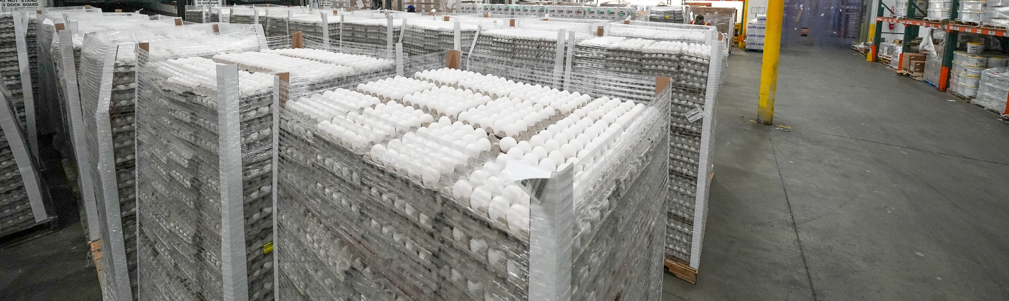 Overhead view of the Eggs Unlimited factory, showing tightly and safely packaged eggs in overwrap, ready for shipment, emphasizing our commitment to quality and secure delivery. Egg in bulk, bulk eggs