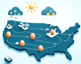 Impact of Weather and Temperature on Egg Prices and the Food Market in the United States