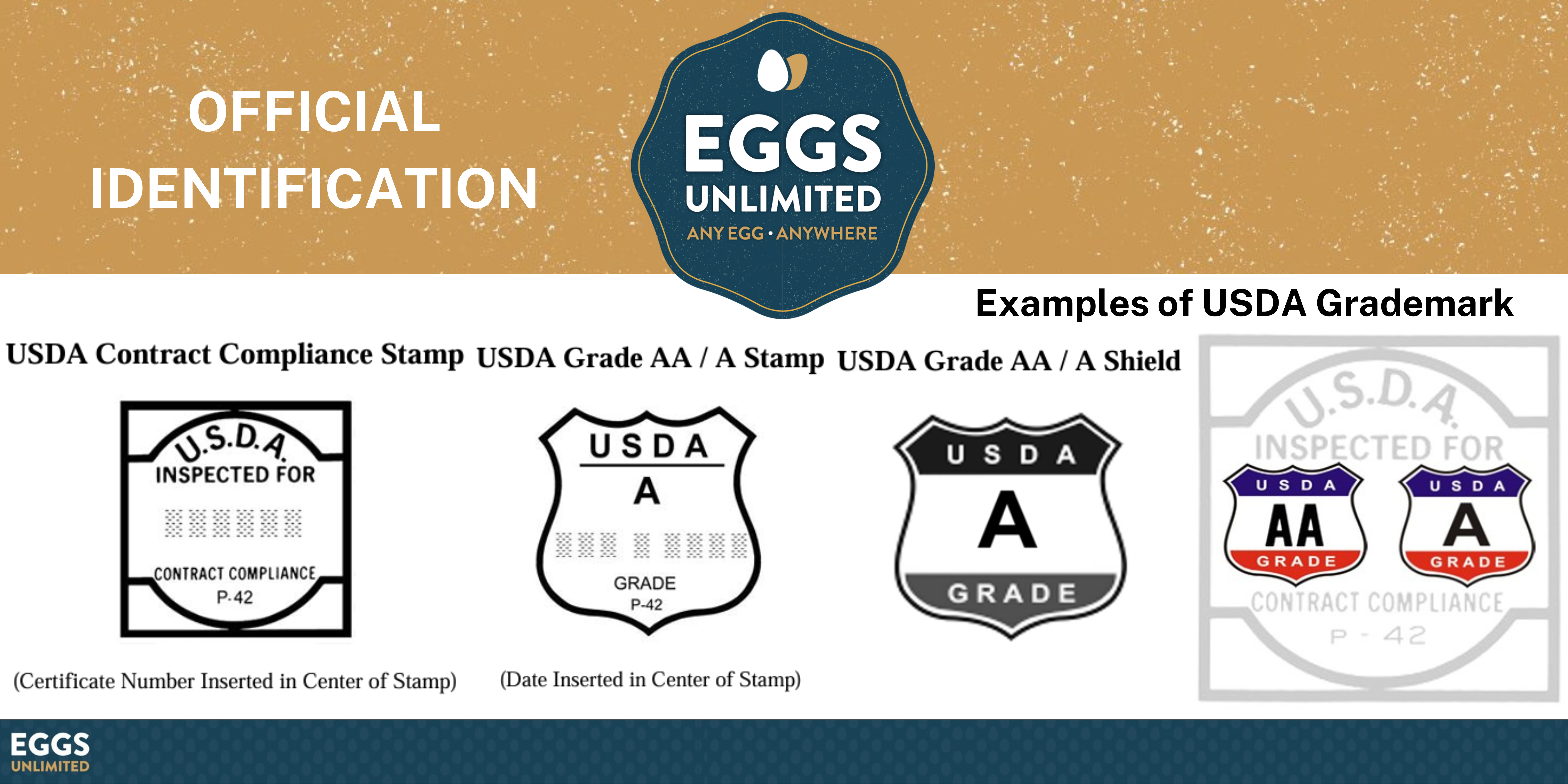 Shell Egg Specifications: A Comprehensive Guide